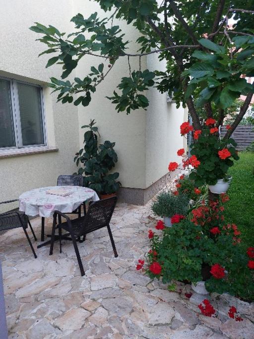 Appartement Mario Zadar